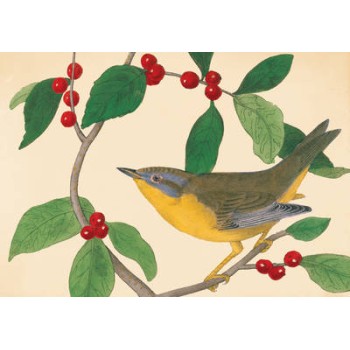 AUDUBON HOLIDAY HALF NOTES