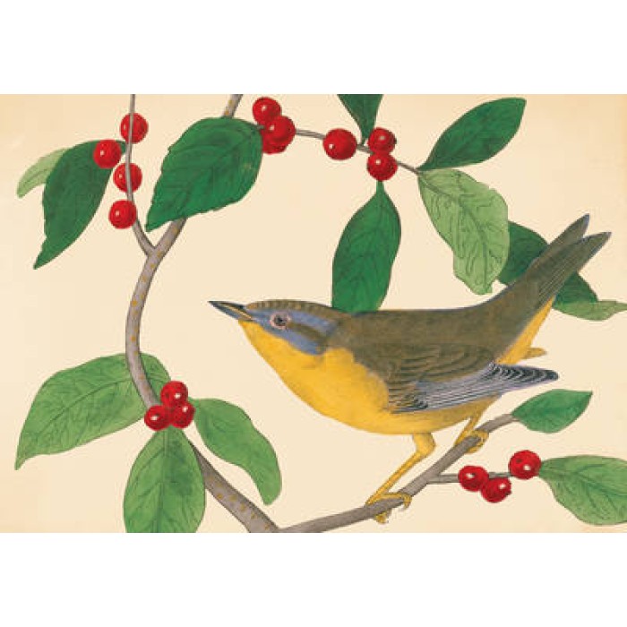 AUDUBON HOLIDAY HALF NOTES AUDUBON HOLIDAY HALF NOTES