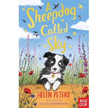 A SHEEPDOG CALLED SKY PB