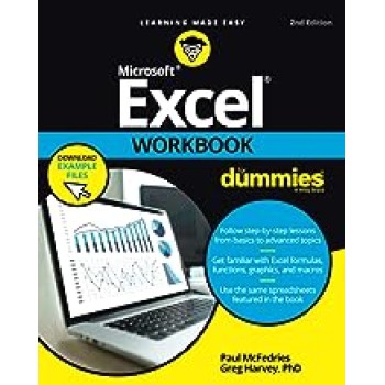 EXCEL WORKBOOK FOR DUMMIES PB