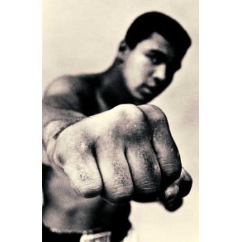 ALI : A LIFE PB
