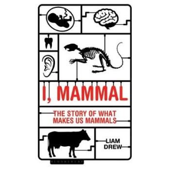 I,MAMMAL : THE STORY OF WHAT MAKES US MAMMALS HC