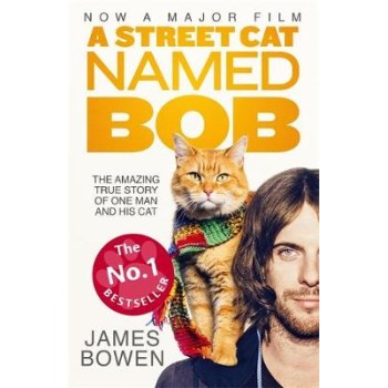 A STREETCAR NAMED BOB : HOW ONE MAN AND HIS CAT FOUND HOPE ON THE STREET PB