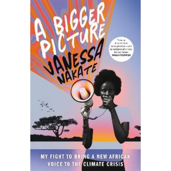 A BIGGER PICTURE MME PB