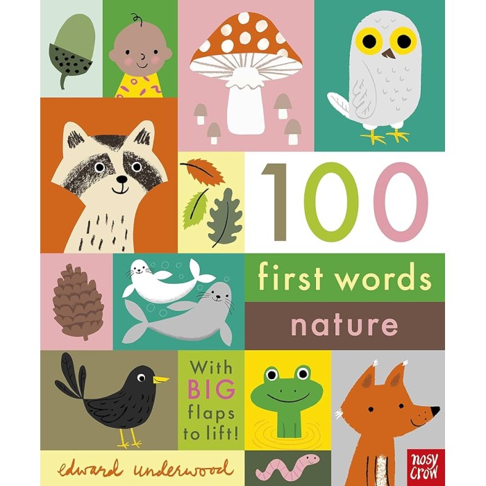 100 FIRST WORDS : NATURE HC BBK 100 FIRST WORDS : NATURE HC BBK