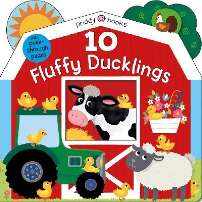 10 FLUFFY DUCKLINGS 10 FLUFFY DUCKLINGS