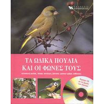 TA ΩΔΙΚΑ ΠΟΥΛΙΑ ΚΑΙ ΟΙ ΦΩΝΕΣ ΤΟΥΣ.CD ΜΕ ΤΙΣ ΦΩΝΕΣ ΤΩΝ ΠΟΥΛΙΩΝ. ΚΑΤΑΣΚΕΥΗ ΦΩΛΙΑΣ, ΤΑΙΣΜΑ, ΠΟΤΙΣΤΡΕΣ, ΒΙΟΤΟΠΟΙ, ΦΥΣΙΚΟΙ ΕΧΘΡΟΙ, ΑΣ