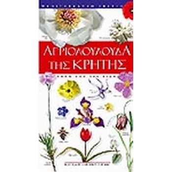 ΑΓΡΙΟΛΟΥΛΟΥΔΑ ΤΗΣ ΚΡΗΤΗΣ