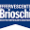 BRIOSCHI