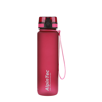 ALPINTEC ΠΑΓΟΥΡΙ 1000ml QUEST RASBERRY