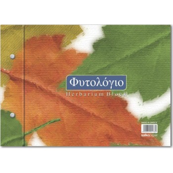 ΜΠΛOΚ ΦΥΤΟΛOΓΙΟ