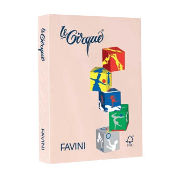 FAVINI ΧΑΡΤΙ Α4 160gr ΣΟΜΟΝ ΠΑΣΤΕΛ 250 ΦΥΛΛΑ