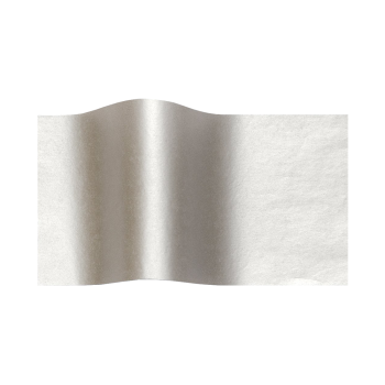METRON ART ΧΑΡΤΟΝΙ ΔΙΠΛΗΣ ΟΨΗΣ 50x70cm 250gr ΑΣΗΜΙ ΜΕΤΑΛΛΙΚΟ 10 ΤΕΜΑΧΙΑ (Το προιόν πωλείται σε μεμονωμένα τεμάχια του ενός)