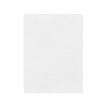 FAVINI ΧΑΡΤΟΝΙ 50x70cm 220gr ΛΕΥΚΟ Νο03