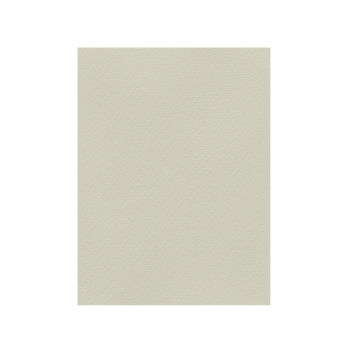 FAVINI ΧΑΡΤΟΝΙ 50x70cm 220gr ΓΚΡΙ Νο06
