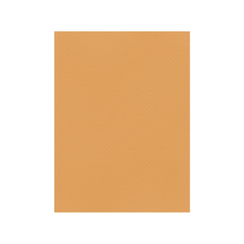 FAVINI ΧΑΡΤΟΝΙ 50x70cm 220gr TABACCO Νο12