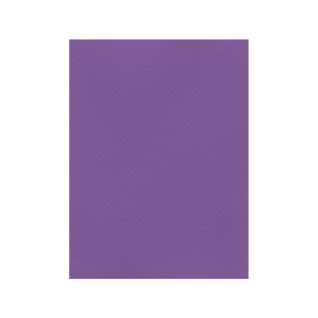 FAVINI ΧΑΡΤΟΝΙ 50x70cm 220gr ΒΙΟΛΕΤΙ Νο19
