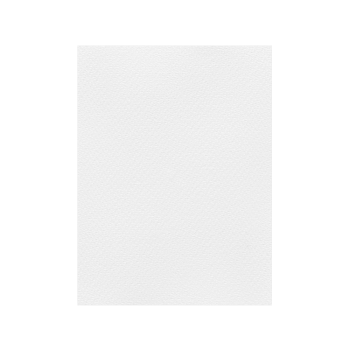 FAVINI ΧΑΡΤΟΝΙ 70x100cm 220gr ΛΕΥΚΟ Νο03
