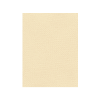 FAVINI ΧΑΡΤΟΝΙ 70x100cm 220gr ΚΡΕΜ Νο04