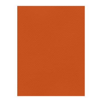 FAVINI ΧΑΡΤΟΝΙ 70x100cm 220gr ΠΟΡΤΟΚΑΛΙ Νο09