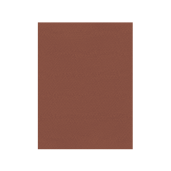 FAVINI ΧΑΡΤΟΝΙ 70x100cm 220gr ΚΑΦΕ ΣΟΚΟΛΑΤΙ Νο11