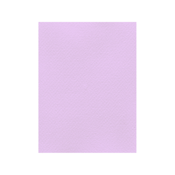 FAVINI ΧΑΡΤΟΝΙ 70x100cm 220gr ΛΙΛΑ Νο24