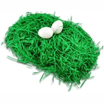 ΧΟΡΤΟ ΧΑΡΤΙΝΟ ΠΡΑΣΙΝΟ 40ΓΡ