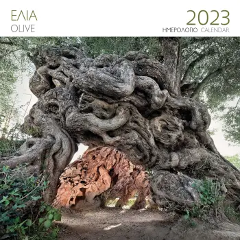 ΕΠΙΤΟΙΧΙΟ ΗΜΕΡΟΛΟΓΙΟ 2023 ΕΛΙΑ - ΡΙΖΑ (30X30 ΕΚ.)