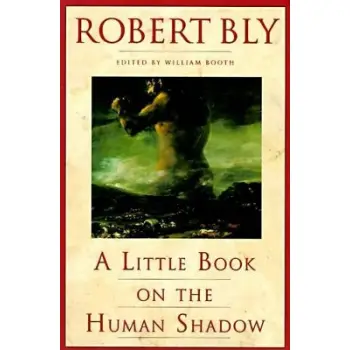 A Little Book on the Human Shadow