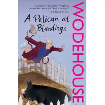 A PELICAN AT BLANDINGS PB