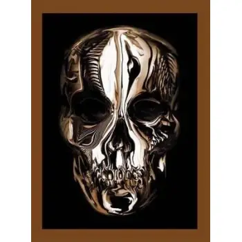 ALEXANDER MCQUEEN : SAVAGE BEAUTY HC