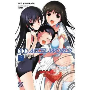Accel World, Vol. 10 (Novel)