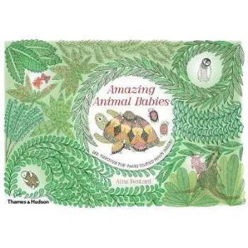 AMAZING ANIMAL BOOKS HC