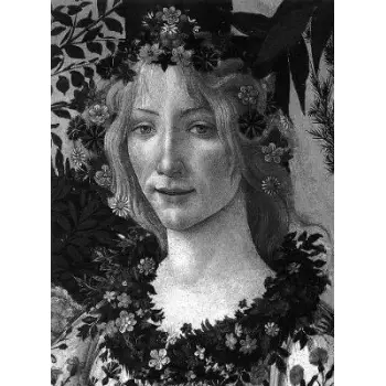 BOTTICELLI  HC