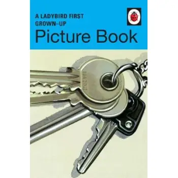 LADYBIRD FOR GROWN-UPS : A LADYBIRD FIRST GROWN UP PICTURE BOOK  HC