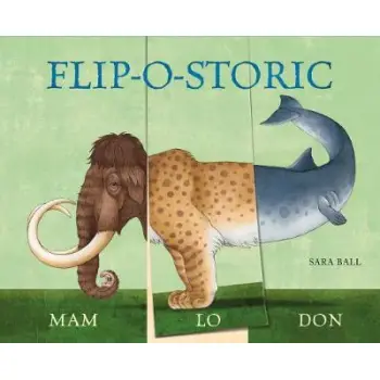 FLIP-O-STORIC BOOK  HC