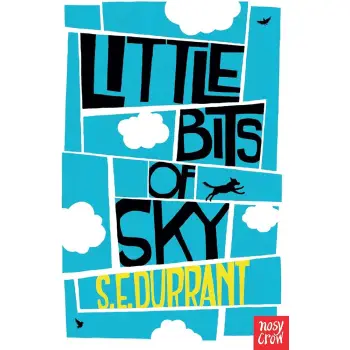 LITTLE BITS OF SKY PB