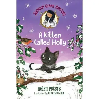 A KITTEN CALLED HOLLY PB