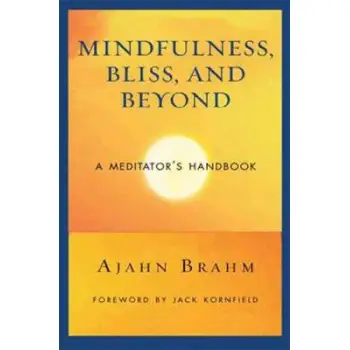 MINDFULNESS BLISS AND BEYOND PB