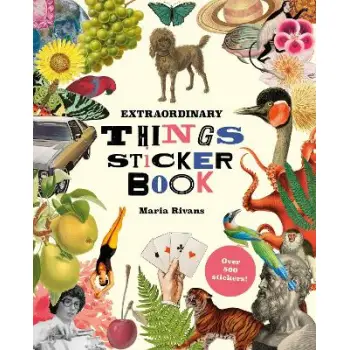 EXTRAORDINARY THINGS STICKER BOOK HC