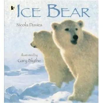 Ice Bear