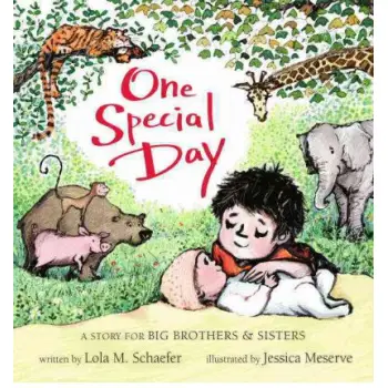 ONE SPECIAL DAY: A STORY FOR BIG BROTHERS & SISTERS  HC