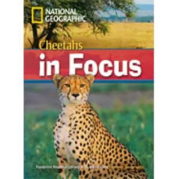 FRL 6: CHEETAHS IN FOCUS B2 (+ DVD)
