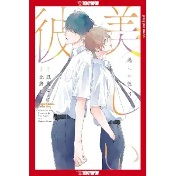 MY BEAUTIFUL MAN VOL 3 MANGA