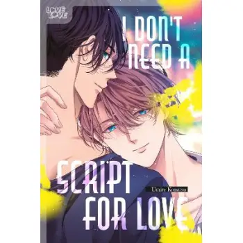 I DON'T NEED A SCRIPT FOR LOVE