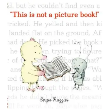 THIS IS NOT A PICTURE BOOK  HC