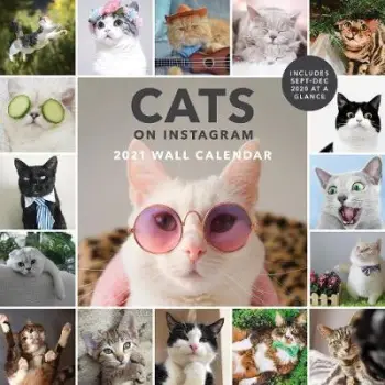 CATS ON INSTAGRAM - 2021 WALL CALENDAR