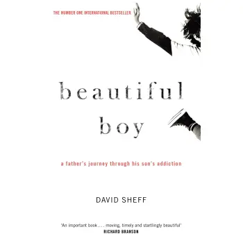 BEAUTIFUL BOY : A FATHER'S JOURNEY THROUGH HIS SON'S ADDICTION