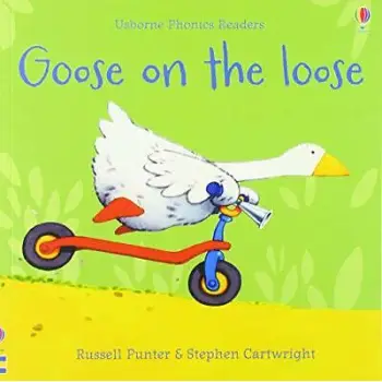USBORNE PHONIC READERS : GOOSE ON THE LOOSE PB