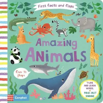 AMAZING ANIMALS HC
